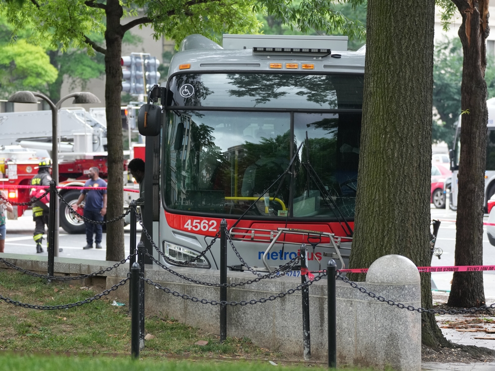 City bus crashed into a tree with emergency crews responding at the scene.